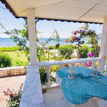 Angora * Muğla